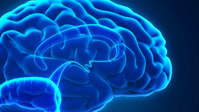How Can I Identify A Traumatic Brain Injury?