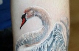 9 Awesome Swan Tattoo Design Ideas With Meaning