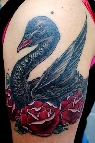 9 Awesome Swan Tattoo Design Ideas With Meaning
