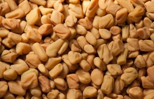 12 Shocking Fenugreek Side Effects – You Must Know