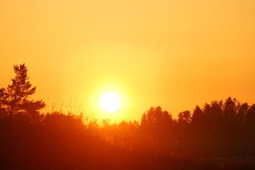 24 Best and Effective Home Remedies for Allergy