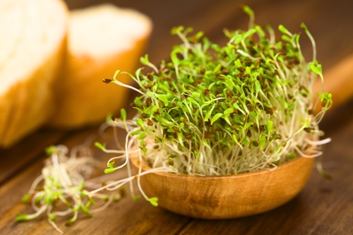 Sprouts Benefits For Skin And Health