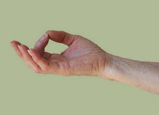 6 Easy Yoga Hand Mudras For Weight Loss You Must Try!