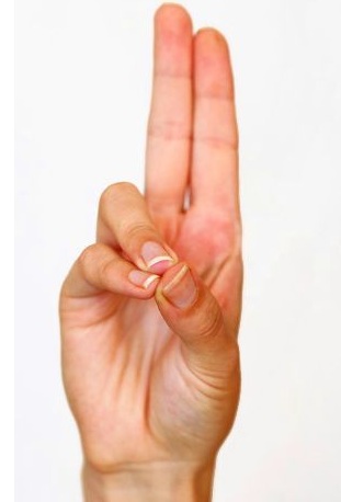 6 Easy Yoga Hand Mudras For Weight Loss You Must Try!
