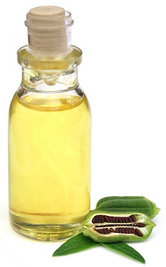 17 Best Hair Fall Treatments for Women at Home