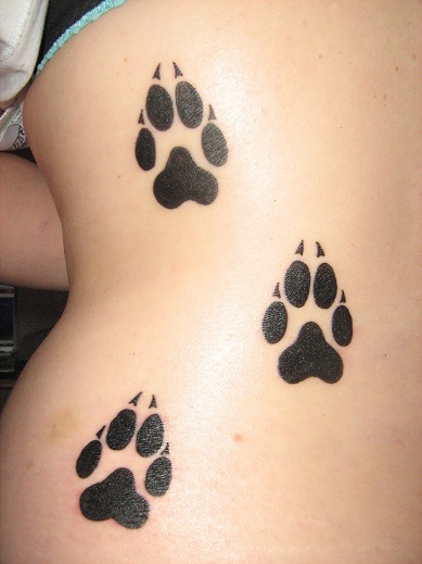 15 Best Cat Tattoo Designs With Meanings