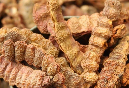 Indian Women Beauty Tips and Secrets