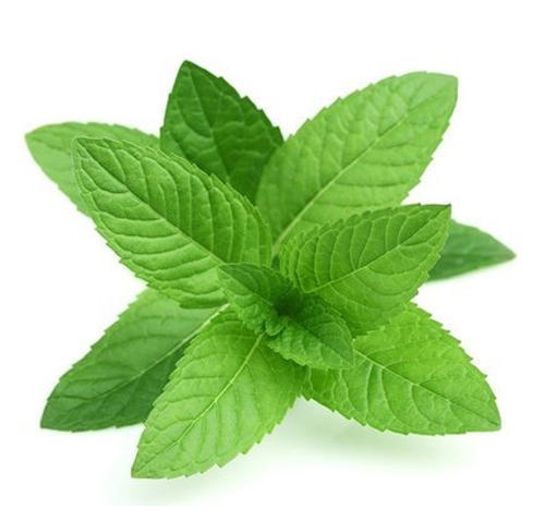 10 Best Herbal Remedies for Treating Acne