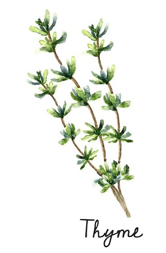 10 Best Herbal Remedies for Treating Acne