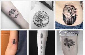 25 Best Tree Tattoo Designs with Meanings