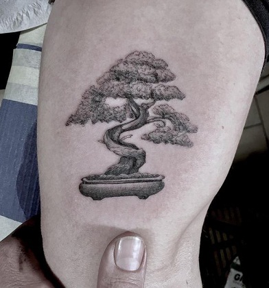 25 Best Tree Tattoo Designs with Meanings