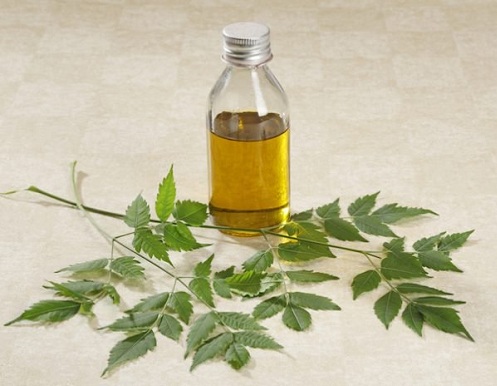 9 Home Remedies for Rashes on Inner Thighs