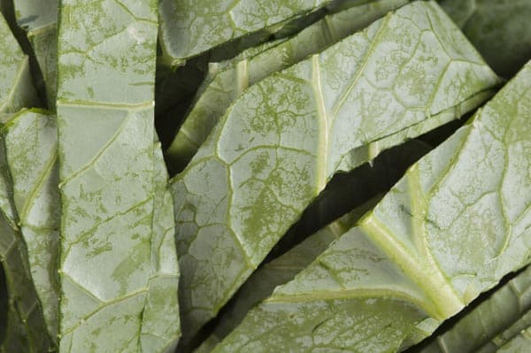 Top 10 Vegetables That Help You Grow Taller Effectively!