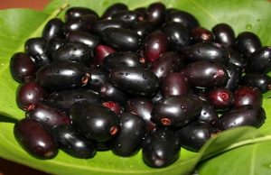 18 Science Proven Jamun Fruit Benefits For Skin, Hair & Health