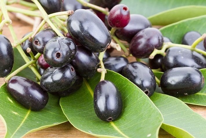18 Science Proven Jamun Fruit Benefits For Skin, Hair &#038; Health
