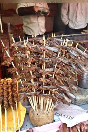 9 Best Chinese Street Food Recipes